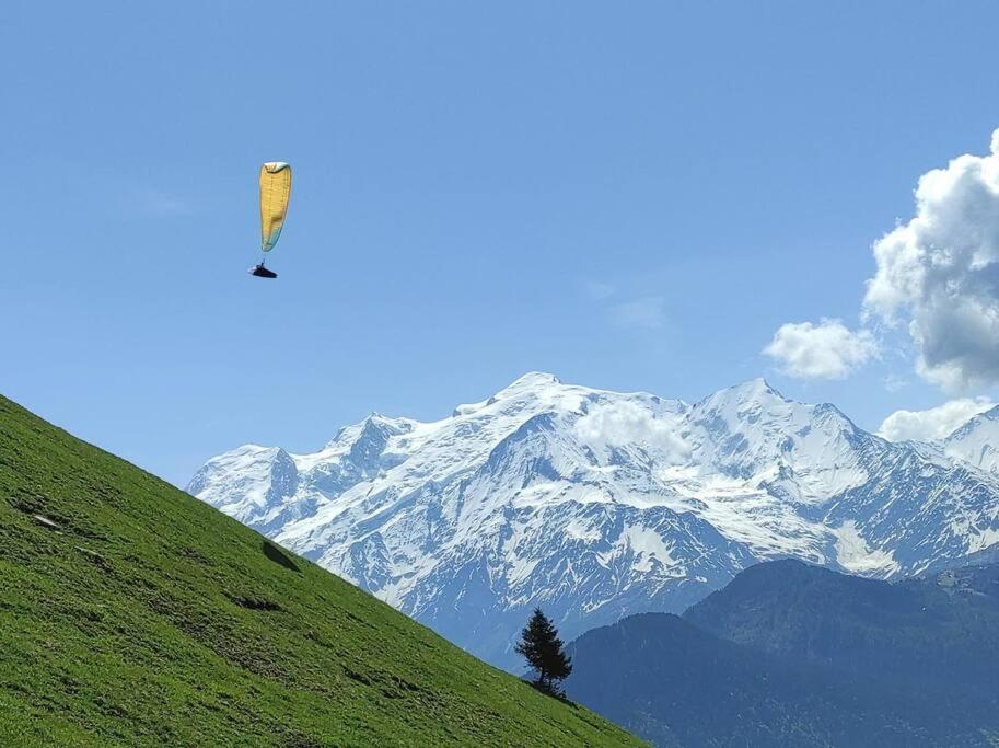 L'Echappee Belle En Montagne - Site Location-Chalet Mieussy エクステリア 写真
