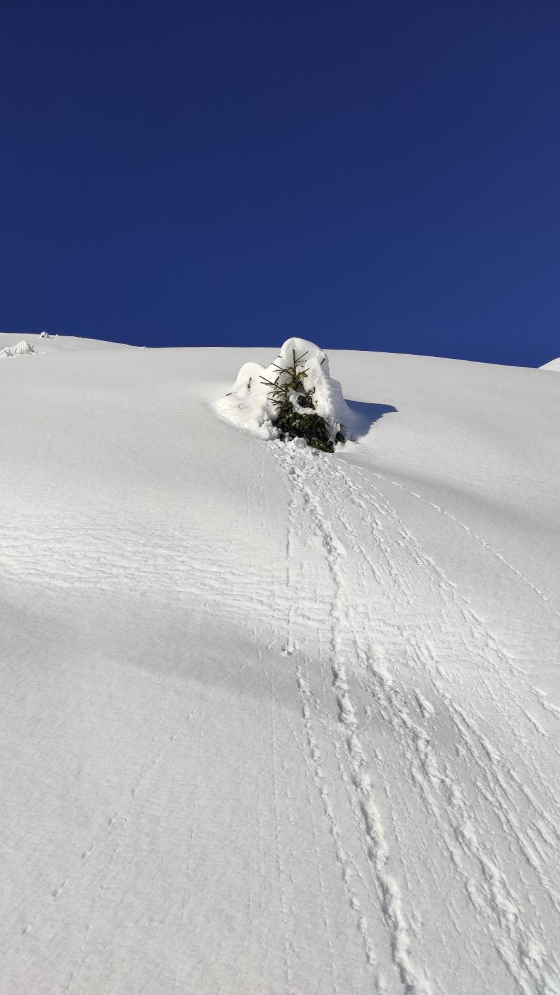 L'Echappee Belle En Montagne - Site Location-Chalet Mieussy エクステリア 写真